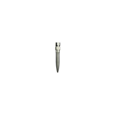 Euro-Posts Inox - Lot De 20